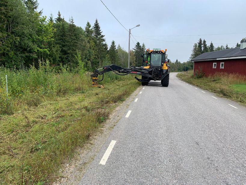 slåtter