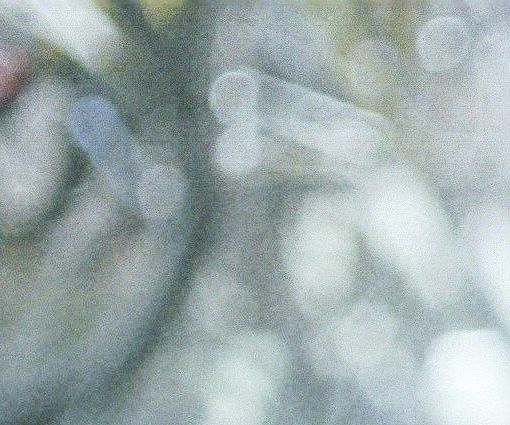 📚 UTVALD MÅNADSBOK – BYGG KOMPETENS