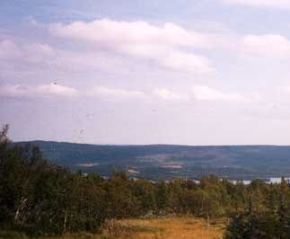 Ansätten