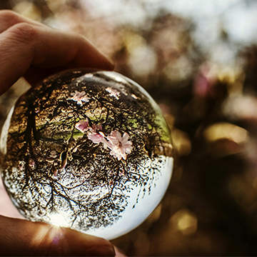 Wünsche an Coaching – Klarheit, Vertrauen & Transformation