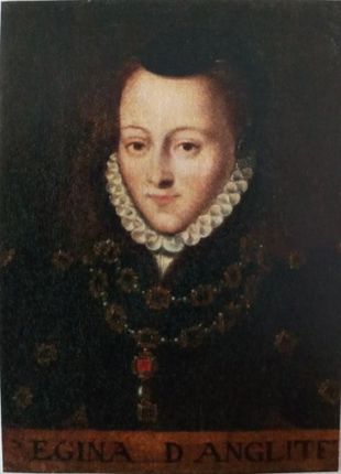 REGINA D ANGLITER