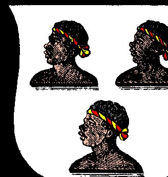 Argent, three moor's heads couped at the shoulders proper filleted or and gules--TANNER