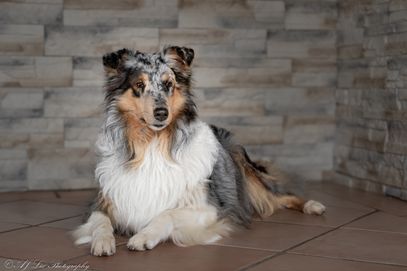 Hazel4
