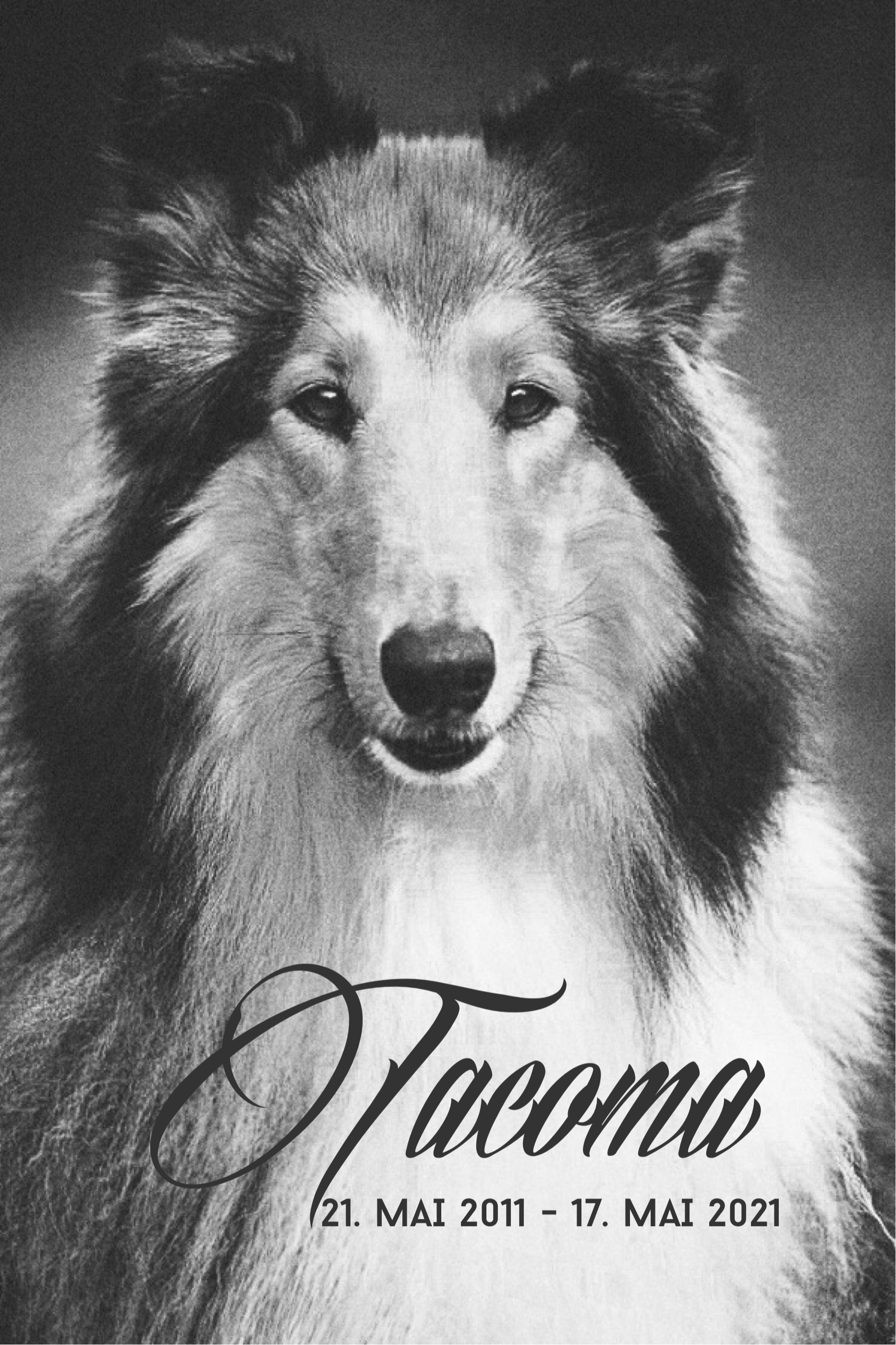 Tacoma *21.05.2011 -+17.05.2021