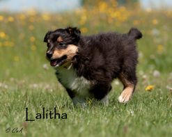 Lalitha