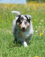 Lishka