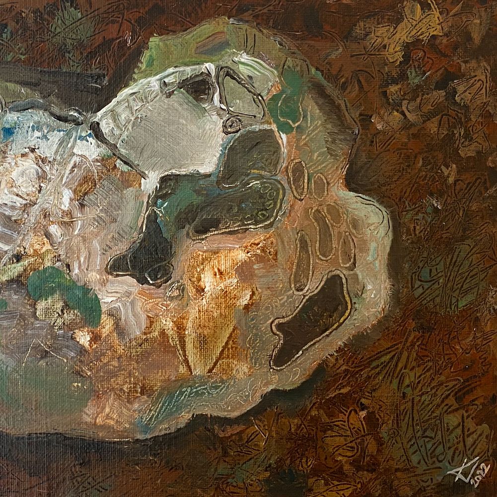 "Støvbold" (Jordbunden)
