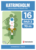 Hål 16 - par 3
