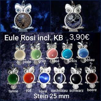 Eule Rosi