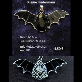 kleine Fledermaus