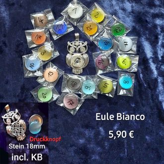 Eule Bianca