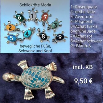 Schildkröte Morla noch 2x