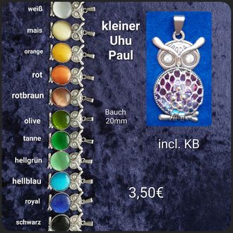 Kleiner Uhu Paul