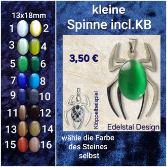 kleine Spinne