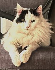 Óskar.