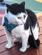 Óskar.