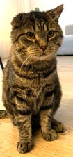 Óskar. 