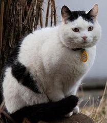 Dóri.