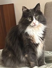 Elsa.
