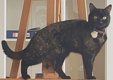Flóra.