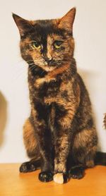 Hera.