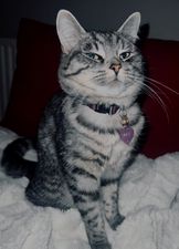 Max.