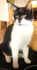 Milo.