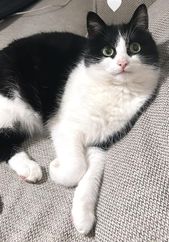 Nóra. 