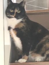 Nala.