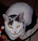 Perla.