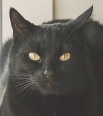 Salem.