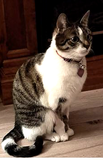 Tara. 