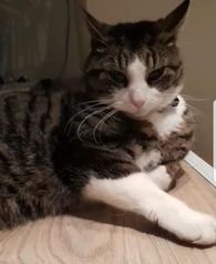 Felix.