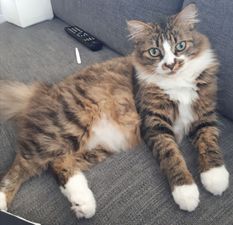 Klói.