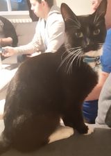 Thomas.