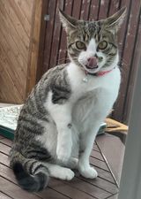 Nala.