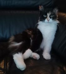 Mia.