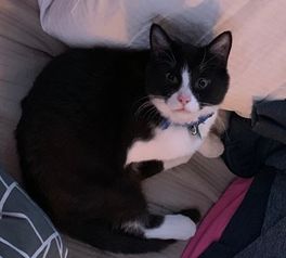 Flóki.
