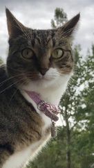 Mia. 