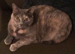 Lotta.