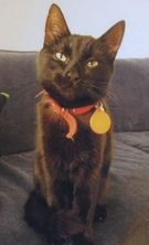 Freyja. TÝND SÍÐAN 3. MAÍ .2014.