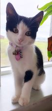 Luna.