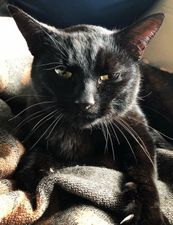 Hnútur.