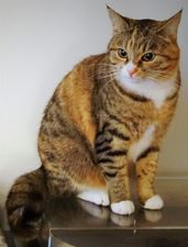Lillí.