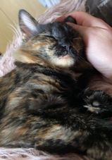 Móna.