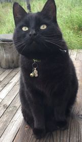 Kiki.