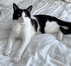 Tyson.