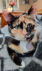 Fríða.