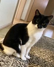 Móna.