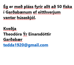 tedda1920@gmail.com